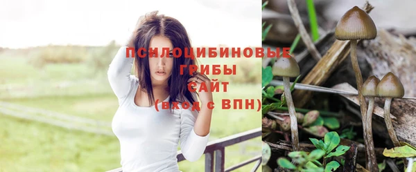 MDMA Абдулино