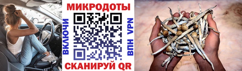 Псилоцибиновые грибы мухоморы  Мостовской 